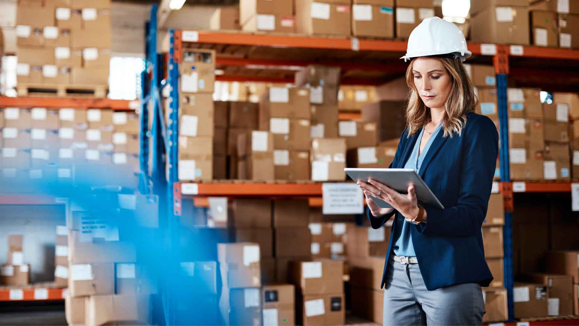 warehousing and distribution options